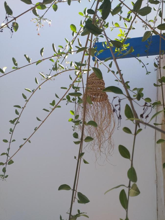 Dar Janis Djerba دار يانيس جربة Apartment Houmt Souk  Phòng bức ảnh