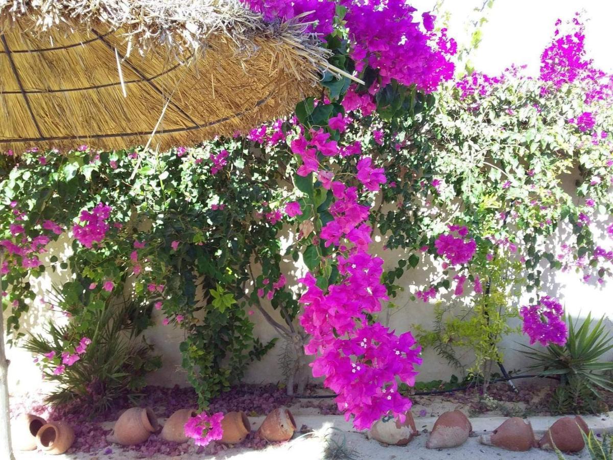 Dar Janis Djerba دار يانيس جربة Apartment Houmt Souk  Phòng bức ảnh
