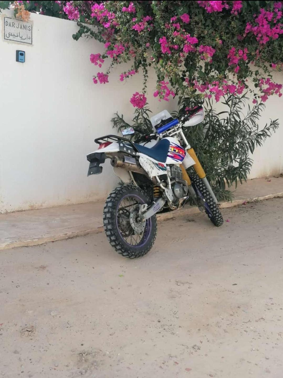 Dar Janis Djerba دار يانيس جربة Apartment Houmt Souk  Ngoại thất bức ảnh